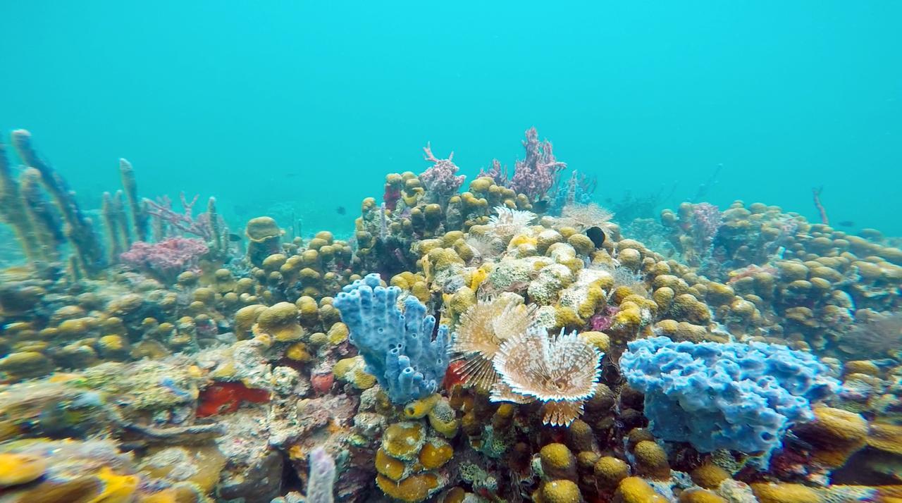 Azul Paradise Bastimentos Kültér fotó