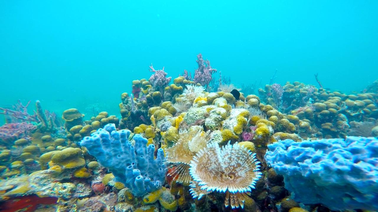 Azul Paradise Bastimentos Kültér fotó